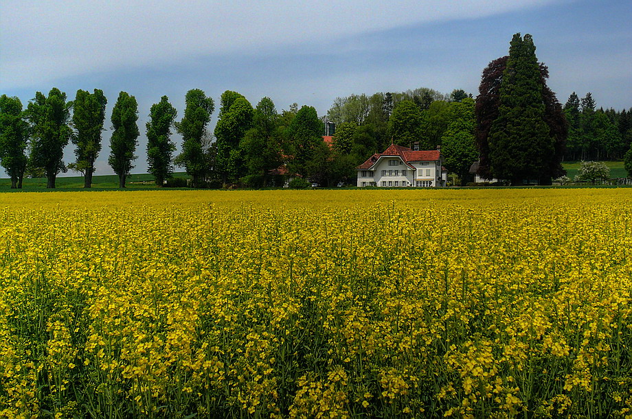Farm_and_Crop