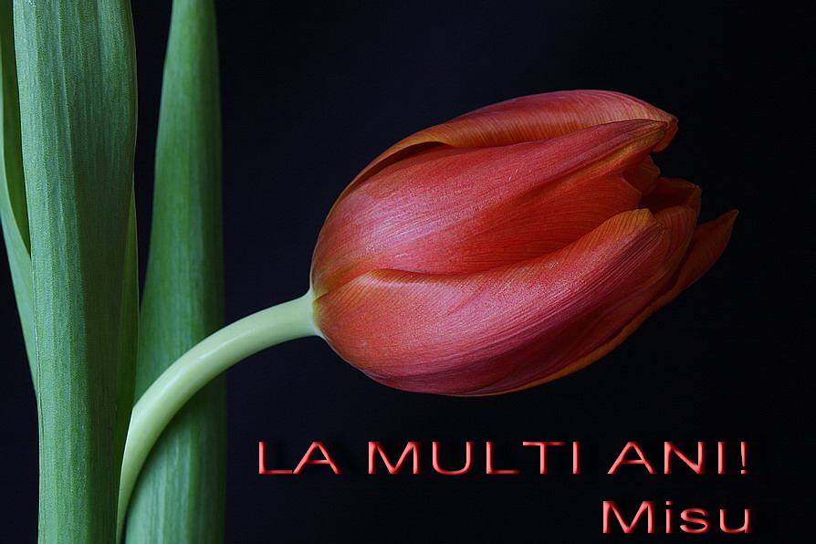 La Multi Ani