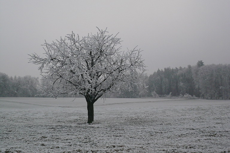 P1020561s