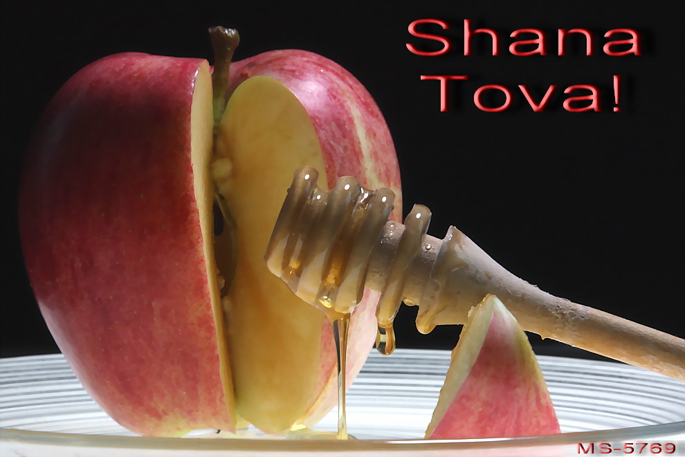 ShanaTova-5769