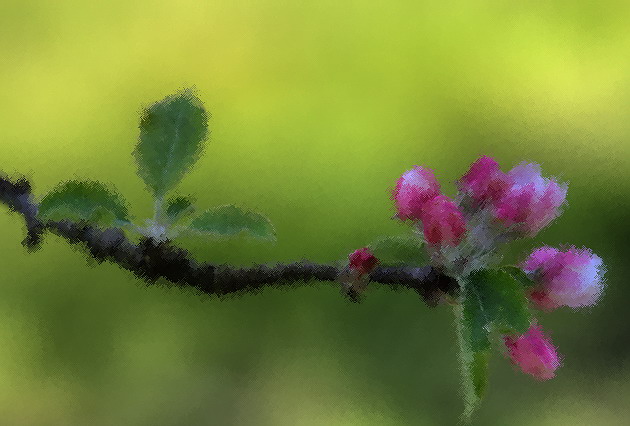 Soft_Spring
