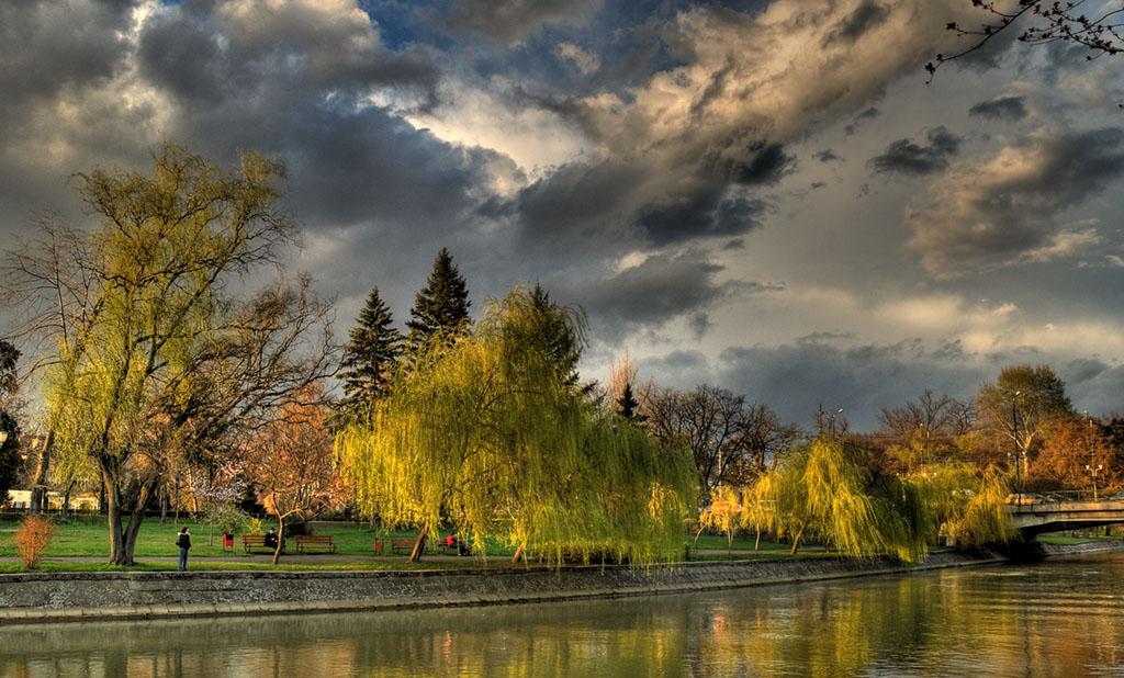 Timisoara7