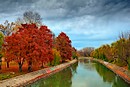 Timisoara