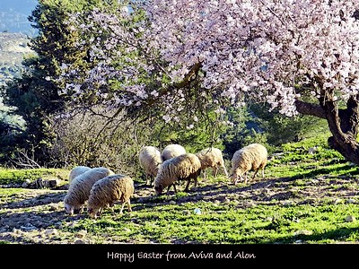 Hag Pesach Sameach/ Happy Easter - Alon&Aviva Gal