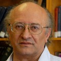 Moshe Idel