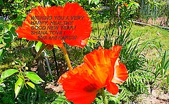 Urari de Rosh Hashanah 2011