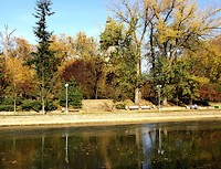 Toamna la Timisoara - Foto: Anath Hanit