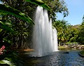 Australia - Sorin Birstein