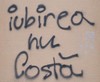 Grafitti la Timisoara