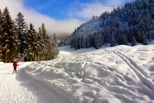 Winter Landscape in Switzerland 2014
Foto: Michael Schwartz