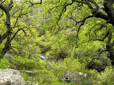 Hag Pesach Sameach/ Happy Easter - Alon&Aviva Gal