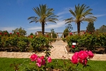 Ramat Hanadiv