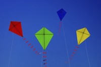 GANDURI DE OCTOMBRIE - One Sky, one World
Julia Henriette Kakucs