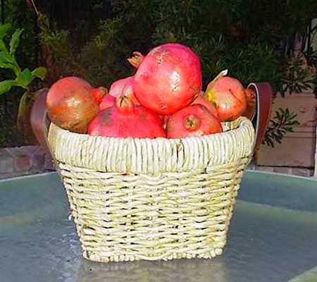 pomegranate1